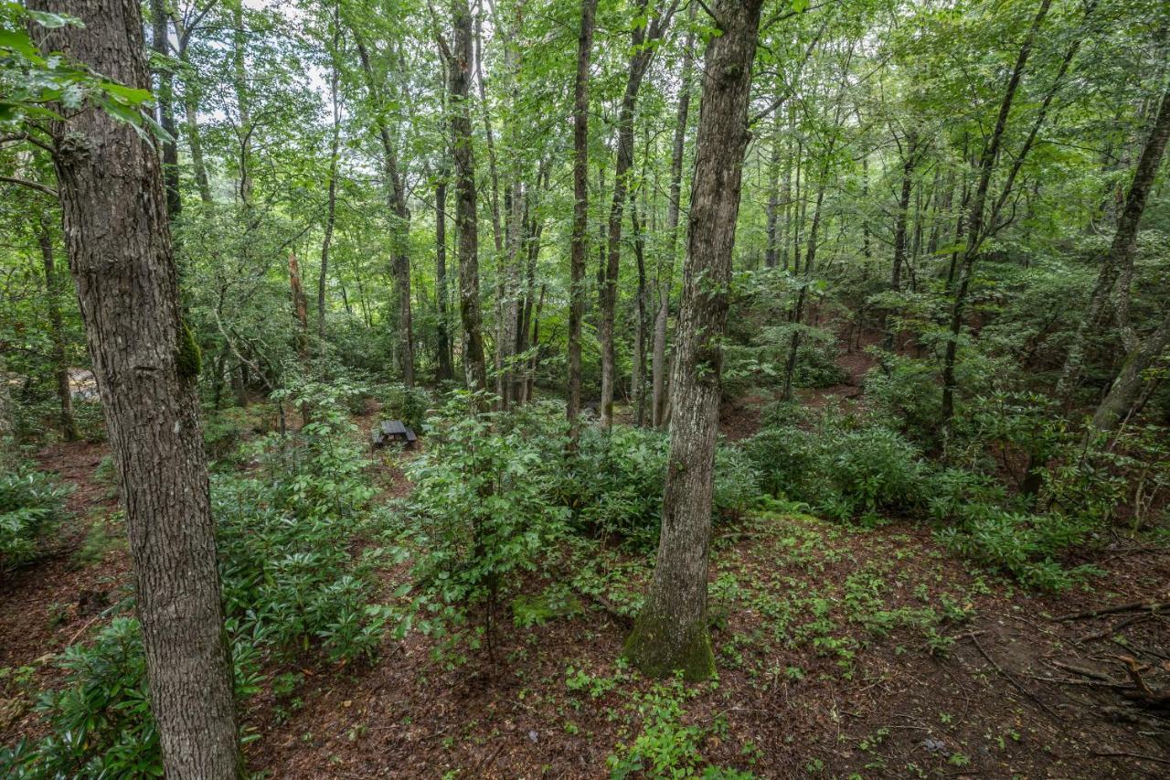 فيلا Springmaid Mountain Spruce Pine المظهر الخارجي الصورة